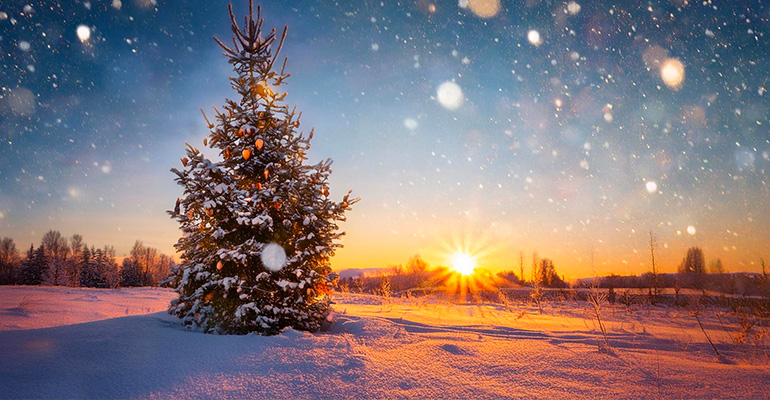 News Vacances d’hiver Flema